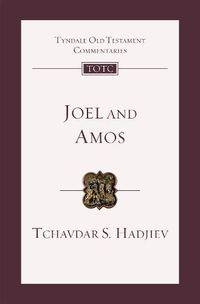 Cover image for Joel and Amos: An Introduction And Commentary