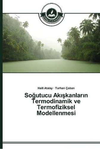 So&#287;utucu Ak&#305;&#351;kanlar&#305;n Termodinamik ve Termofiziksel Modellenmesi