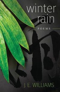 Cover image for Winter Rain