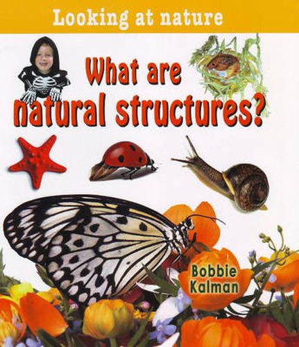 Cover image for What Are Natural Structures?