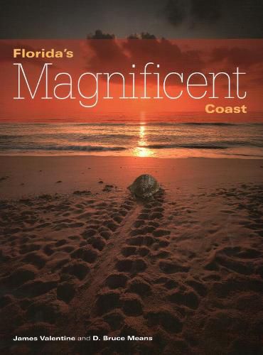 Cover image for Florida's Magnificent Coast