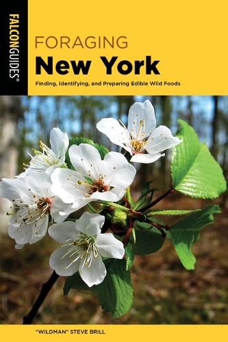 Cover image for Foraging New York