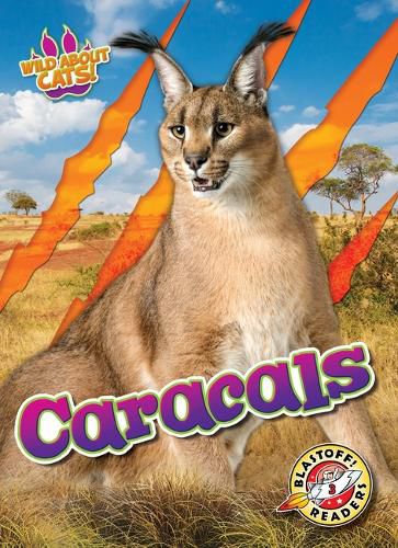 Cover image for Caracals
