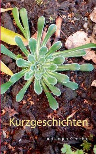 Cover image for Kurzgeschichten: und langere Gedichte