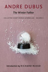 Cover image for The Winter Father