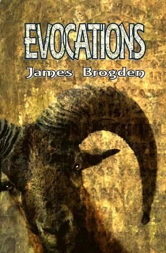 Cover image for Evocations