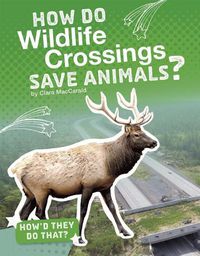 Cover image for How Do Wildlife Crossings Save Animals?