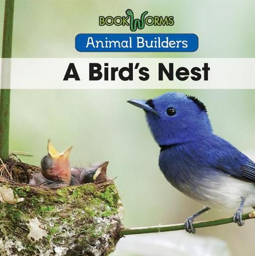 Cover image for A Bird's Nest