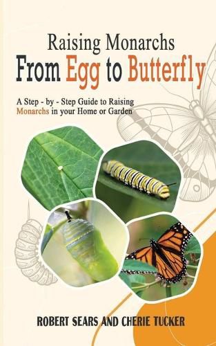 Cover image for Raising Monarchs from Egg To Butterfly