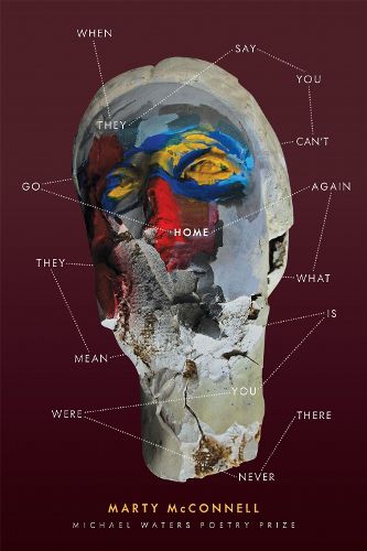 Cover image for Set to Music a Wildfire