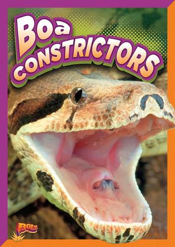 Cover image for Boa Constrictors