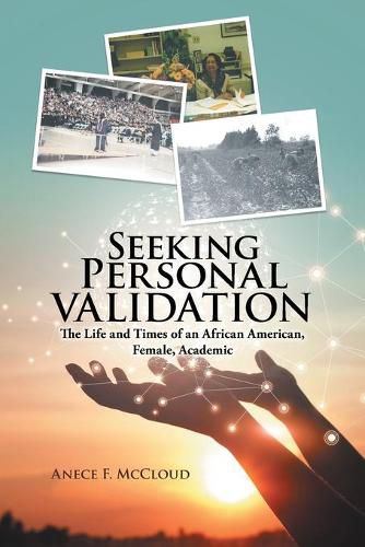 Cover image for Seeking Personal Validation: The Life and Times of An African American, Female, Academic