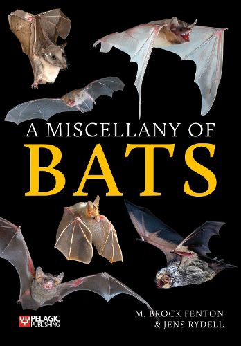 Cover image for A Miscellany of Bats