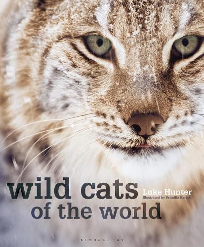 Cover image for Wild Cats of the World