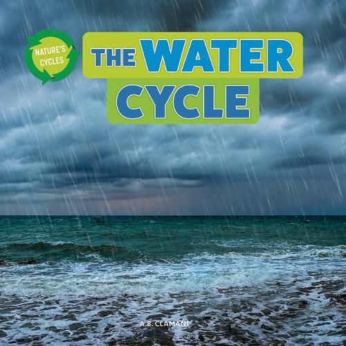 Cover image for The Water Cycle