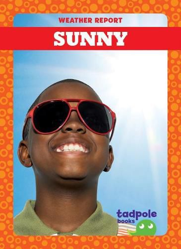 Cover image for Sunny