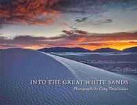 Cover image for Into the Great White Sands