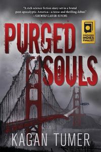 Cover image for Purged Souls