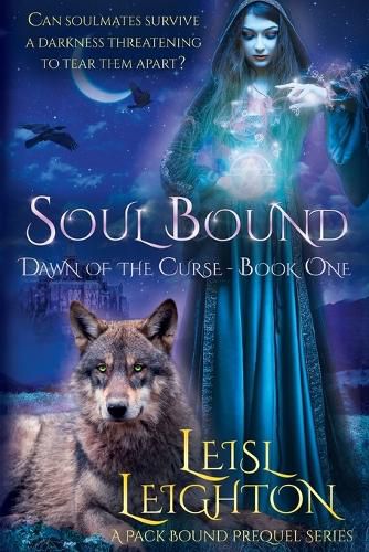 Cover image for Soul Bound