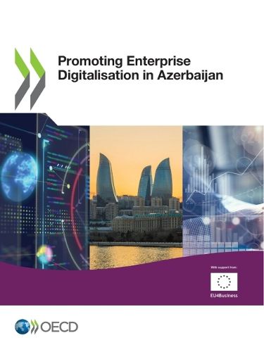 Cover image for Promoting enterprise digitalisation in Azerbaijan