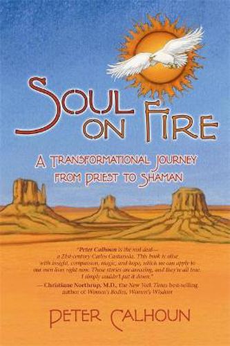 Cover image for Soul On Fire: A Transformational Journey From Priest To Shaman