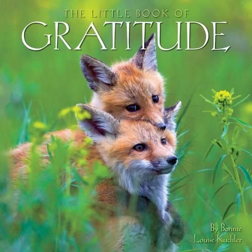 Little Book of Gratitude, The