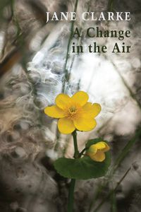 Cover image for A Change in the Air