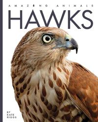 Cover image for Hawks