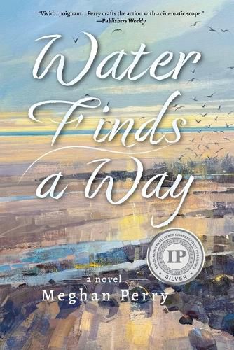 Cover image for Water Finds a Way a novel