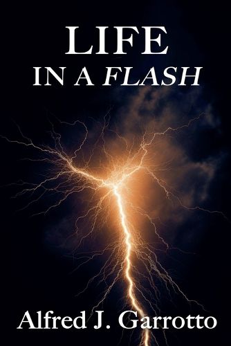 Cover image for Life in a Flash