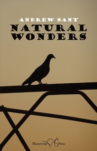 Cover image for Natural Wonders