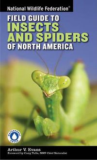 Cover image for National Wildlife Federation Field Guide to Insects and Spiders & Related Species of North America