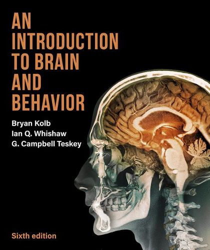 Cover image for An Introduction to Brain and Behavior