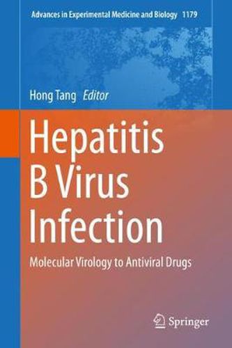 Cover image for Hepatitis B Virus Infection: Molecular Virology to Antiviral Drugs