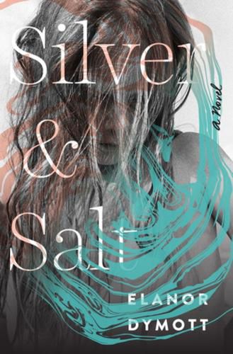 Cover image for Silver and Salt: A Novel