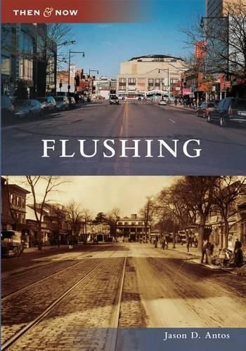 Cover image for Flushing