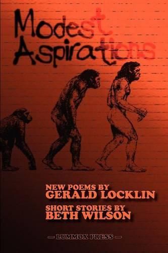 Cover image for Modest Aspirations