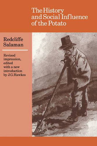 Cover image for The History and Social Influence of the Potato