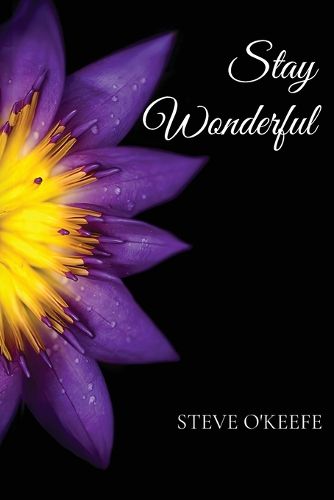 Cover image for Stay Wonderful