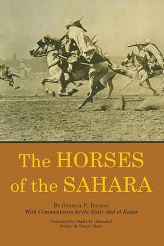 Cover image for The Horses of the Sahara