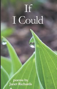 Cover image for If I Could