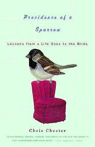 Cover image for Providence of a Sparrow: Lessons from a Life Gone to the Birds