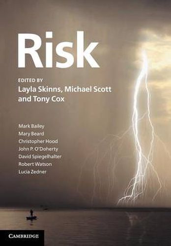 Cover image for Risk