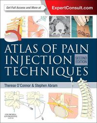 Cover image for Atlas of Pain Injection Techniques: Expert Consult: Online and Print