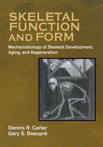 Cover image for Skeletal Function and Form: Mechanobiology of Skeletal Development, Aging, and Regeneration