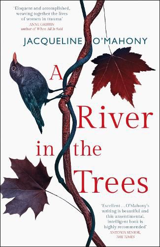 Cover image for A River in the Trees