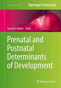 Cover image for Prenatal and Postnatal Determinants of Development