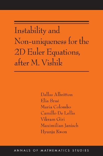 Instability and Non-uniqueness for the 2D Euler Equations, after M. Vishik