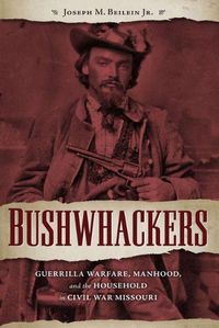 Cover image for Bushwhackers: Guerrilla Warfare, Manhood, and the Household in Civil War Missouri