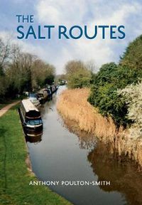 Cover image for The Salt Routes